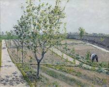 Potager (Gustave Caillebotte) - Muzeo.com