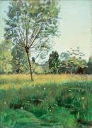 Pré d'or (Ferdinand Hodler) - Muzeo.com