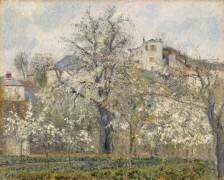 Printemps. Pruniers en fleurs (Camille Pissarro) - Muzeo.com