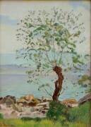 Saule au bord du lac (Ferdinand Hodler) - Muzeo.com