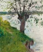 Saule en Bord de Rivière (Gustave Caillebotte) - Muzeo.com