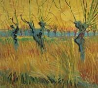 Saules étêtés et soleil couchant (Vincent van Gogh) - Muzeo.com