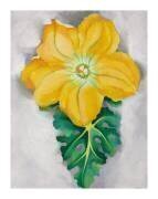 Squash Blossom No. II, 1925 (Georgia O'Keeffe) - Muzeo.com