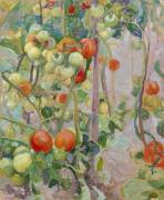 Tomates (Pekka Halonen) - Muzeo.com