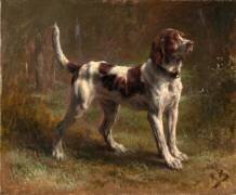 Un Limier Briquet Hound (Rosa Bonheur) - Muzeo.com