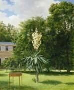 Un Yucca gloriosa dans le parc de Neuilly (Antoine Chazal) - Muzeo.com
