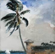 Une Brise Tropicale, Nassau (Winslow Homer) - Muzeo.com