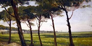 Une rangée de pins (Giovanni Costa) - Muzeo.com
