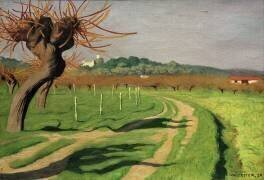 Vallée de la Cagne (Félix Vallotton) - Muzeo.com