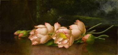 Fleurs de lotus : Un paysage (Martin Johnson Heade) - Muzeo.com