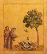 Saint François d'Assise recevant les stigmates (Giotto di Bondone) - Muzeo.com
