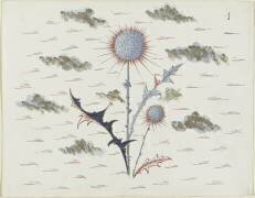 Chardon (Louis Hestaux) - Muzeo.com