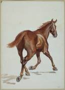 Etude de cheval (Adrien Emmanuel Marie) - Muzeo.com