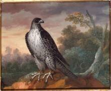 Faucon dans un paysage, un grelot à chaque patte (Nicasius Bernaerts) - Muzeo.com