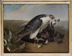 Faucon dévorant un oiseau (Nicasius Bernaerts) - Muzeo.com