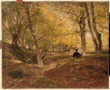Hêtraie dans la forêt de Fontainebleau (Constant Dutilleux) - Muzeo.com