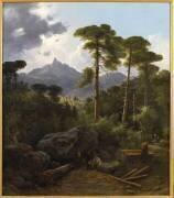 La forêt de Valdoniello (Jean-Luc Multedo) - Muzeo.com