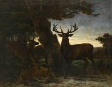 La mort du cerf (Martinus-Antonius Kuytenbrower) - Muzeo.com