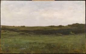 Lande (étude) (Auguste Pointelin) - Muzeo.com