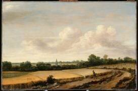 Les champs de blés (Guillam Dubois) - Muzeo.com