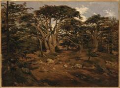 Les Vieux cèdres sur le Mont Liban (Antoine Alphonse Montfort) - Muzeo.com