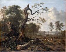 Lisière de forêt (Jan Wijnants) - Muzeo.com