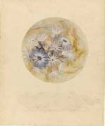 Modèle de boîte ou de bonbonnière en cristal à décor de marguerites et de pâquerettes (Emile Gallé) - Muzeo.com