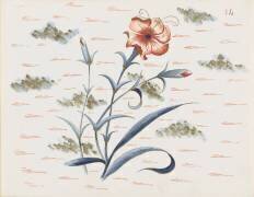 Modèle pour le décor du Service floral (Emile Gallé) - Muzeo.com