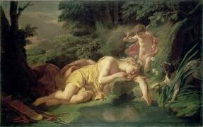 Narcisse changé en fleur de ce nom (Nicolas-Bernard Lépicié) - Muzeo.com