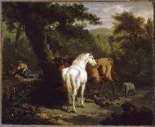 Paysage au cheval blanc (Dirck van Bergen) - Muzeo.com