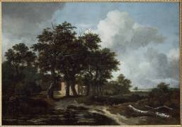 Solitude, ruines près d'une mare (Jan van Kessel) - Muzeo.com