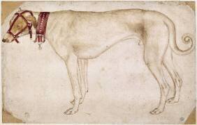 Chien muselé et portant un collier, debout, de profil vers la gauche (Pisanello) - Muzeo.com