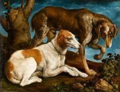 Deux chiens de chasse attachés à une souche (Jacopo Bassano) - Muzeo.com