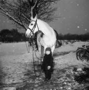 A little boy with a horse in winter, Sweden (anonymous) - Muzeo.com