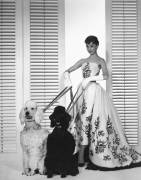 Audrey Hepburn in Sabrina (anonymous) - Muzeo.com