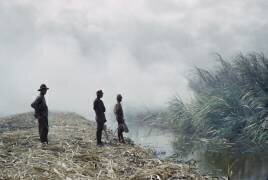Burning Sugar Cane (Kenneth Rittener) - Muzeo.com