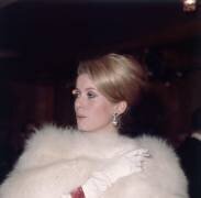 Catherine Deneuve (Hulton Archive) - Muzeo.com