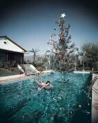Christmas swim (Slim Aarons) - Muzeo.com