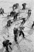 Ecoliers à skis (Erich Lessing) - Muzeo.com