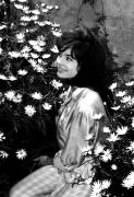 French Actress Pascale Petit at Cannes Film Festival (Rue des Archives) - Muzeo.com