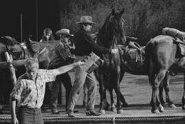 Gregory Peck with horse on the set of 'Mackenna's Gold' (Orlando Suero) - Muzeo.com