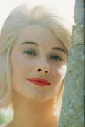 Hope Lange close up (Orlando Suero) - Muzeo.com