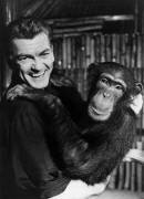 Jean Marais With A Chimpanze (Rue des Archives) - Muzeo.com