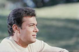 Tony Curtis portrait (Orlando Suero) - Muzeo.com