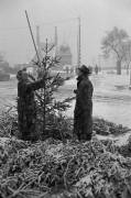 Vente de sapins de Noël (Erich Lessing) - Muzeo.com