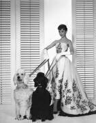 Audrey Hepburn dans 
