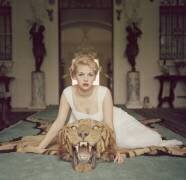 Beauty And The Beast (Slim Aarons) - Muzeo.com