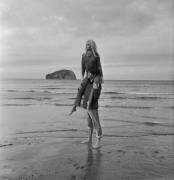 BRIGITTE BARDOT (Jim Gray) - Muzeo.com