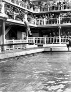 Chaleur à Paris : nageurs à la piscine Molitor (Rue des Archives) - Muzeo.com