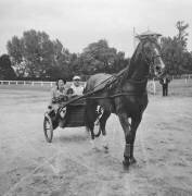 Course de chevaux à Enghien, France, 31 août 1950 (Rue des Archives) - Muzeo.com